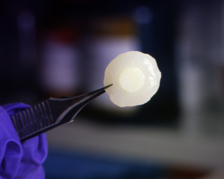 Nanofibre-based engineered cartilage tissue